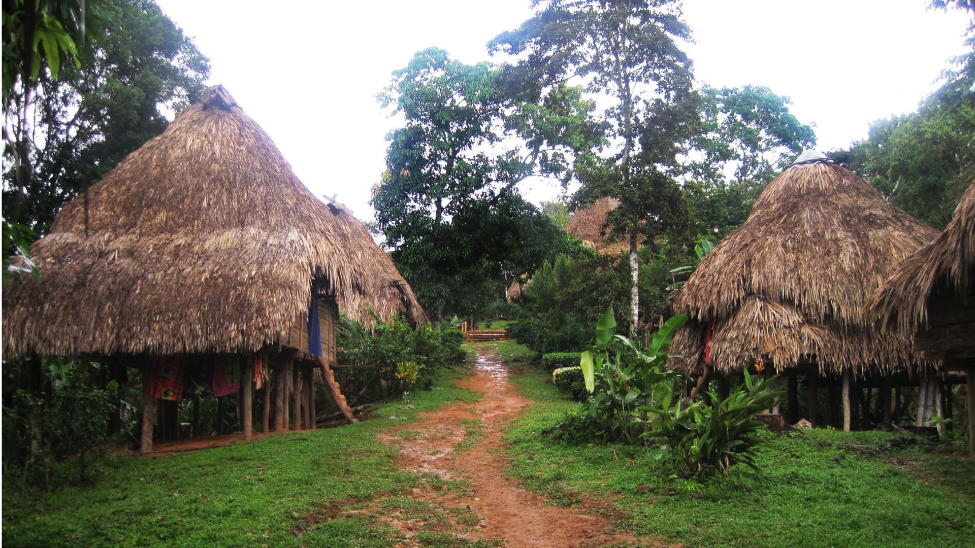 Panama Grass Huts